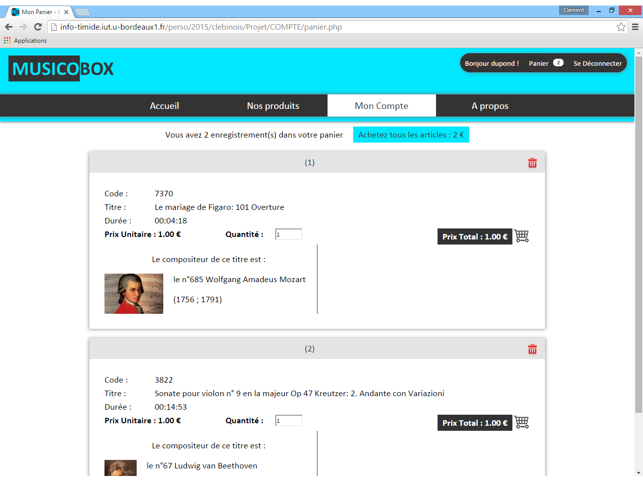 Musicobox Panier fictif